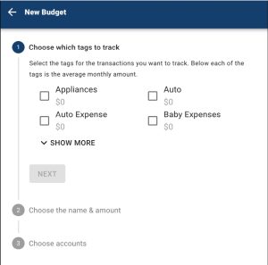 Money Manager - New Budget Setup