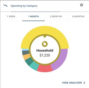 Money Manager - See your spending by category